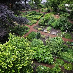 Botanische Tuin Afrikaanderwijk - Botanische Tuin Afrikaanderwijk