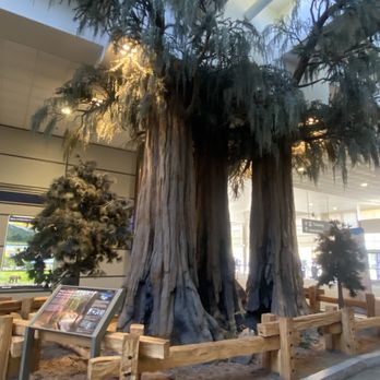 Fresno Air Terminal - Car Rental Near Me - Fresno, California Fresno Air Terminal - Car Rental Near Me - Fresno, California