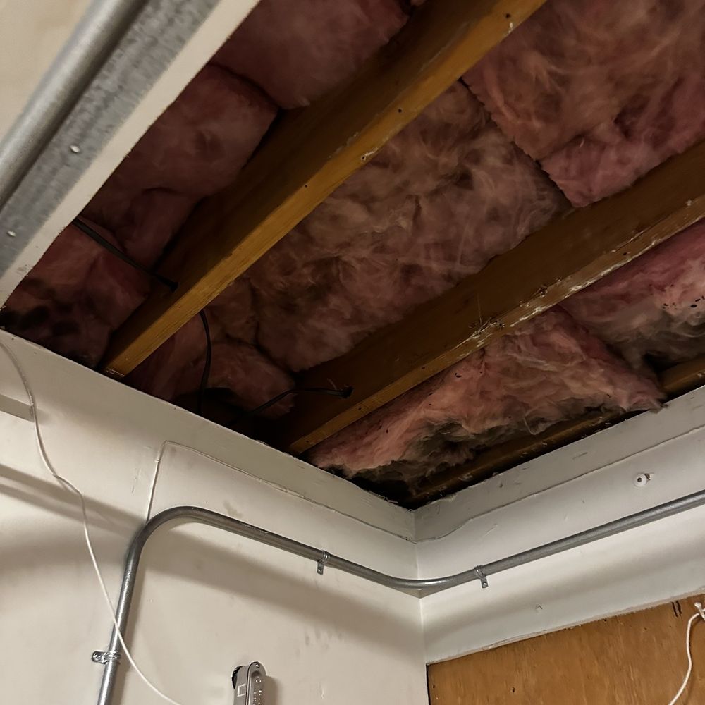 Pacific Water Conditioning - Bugs and mold - Water Purification Services Near Me - Oxnard, California Pacific Water Conditioning - Bugs and mold - Water Purification Services Near Me - Oxnard, California