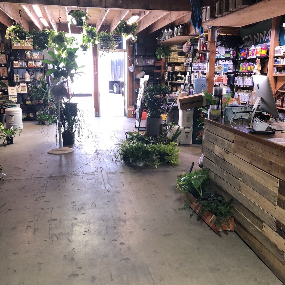 Indoor Sun Shoppe - Nurseries & Gardening Near Me - Seattle, Washington Indoor Sun Shoppe - Nurseries & Gardening Near Me - Seattle, Washington