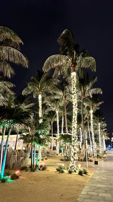 U-Tiki Beach at Jupiter Inlet Marina by null