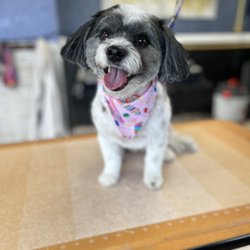 Janell's Grooming