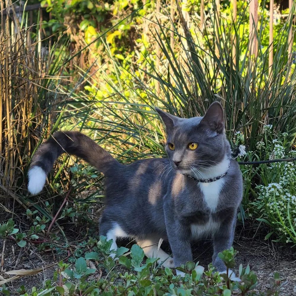 CASTAIC TOWING Updated October 2024 49 Photos & 93 Reviews 32250