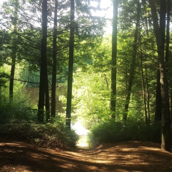 Pop's Lake Campground - Our view out the front porch. - Campgrounds Near Me - Galway, New York