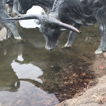 Pioneer Plaza Cattle Drive - Part of the herd crosses a water feature. - Local Flavor Near Me - Dallas, Texas Pioneer Plaza Cattle Drive - Part of the herd crosses a water feature. - Local Flavor Near Me - Dallas, Texas