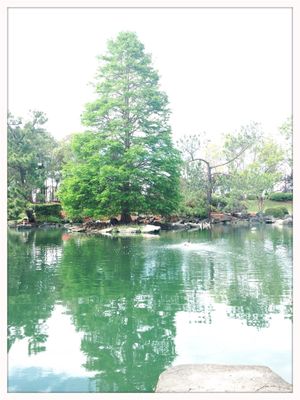 Auburn Botanic Gardens by null
