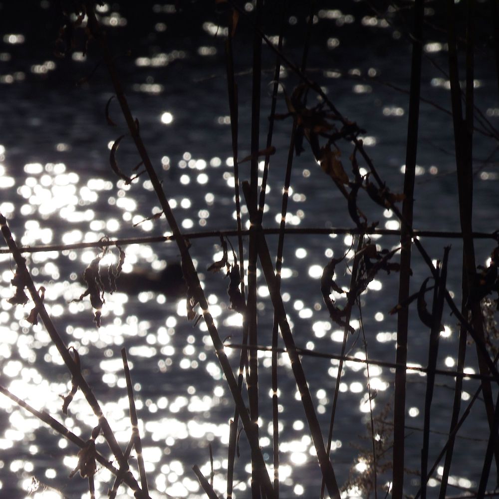 Like diamonds on the water Like diamonds on the water