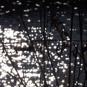 Mill Pond Park - Like diamonds on the water - Parks Near Me - Richmond Hill, Ontario