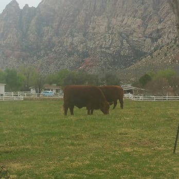 Spring Mountain Ranch State Park - Parks Near Me - Blue Diamond, Nevada