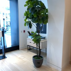 Peloton Showroom