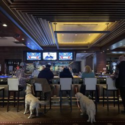 Grand Lodge Casino - Yes, dogs are welcome (even non-service dogs).