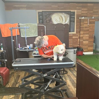 Grooming Works - Pet Groomers Near Me - Mountain View, California Grooming Works - Pet Groomers Near Me - Mountain View, California