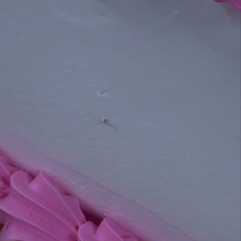San Antonio Bakery - worm inside the cake - Desserts Near Me - Compton, California