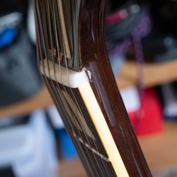 Gary's Guitars - The Damage