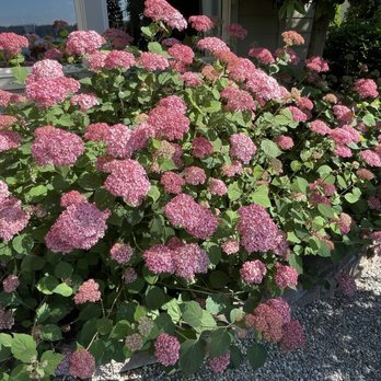 Hilf Landscape & Design - Landscaping Near Me - Poulsbo, Washington