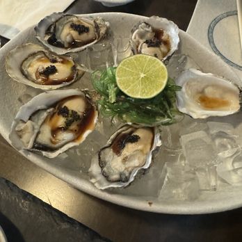 Hashi Gawa - shikoku oysters. daily specials. would skip. seems cured or steamed? - Japanese Near Me - Alameda, California Hashi Gawa - shikoku oysters. daily specials. would skip. seems cured or steamed? - Japanese Near Me - Alameda, California