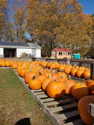 Riverview Farm by null