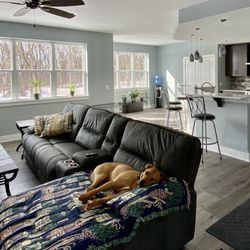 Pet Care By Michele