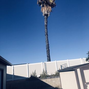 Mejia Tree Services - Before - Masonry/Concrete Near Me