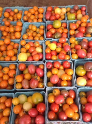Saucon Valley Farmers' Market by null