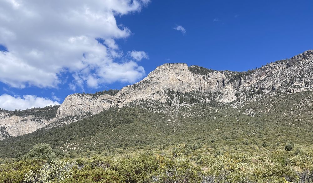 Eagles Nest Trail Logo