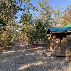 Black Bear Cabins - Front view front driveway