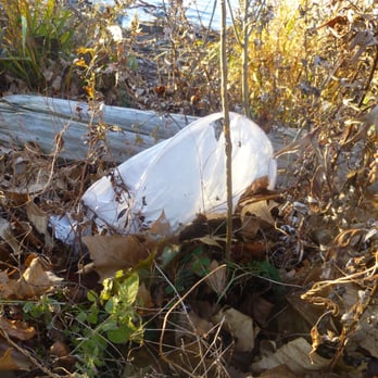 Stewart Park - Litters - Parks Near Me - Ithaca, New York