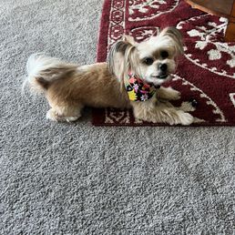 Rue. My new for baby.
