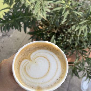Cartel Roasting - Cappuccino - Coffee & Tea Near Me - Tucson, Arizona