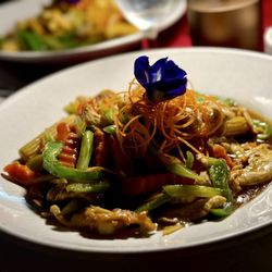 Orchid Thai Cuisine - Ginger Thai - Chicken