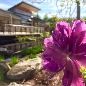 Atlanta Botanical Garden - Lovely Blooms - Botanical Gardens Near Me - Gainesville, Georgia