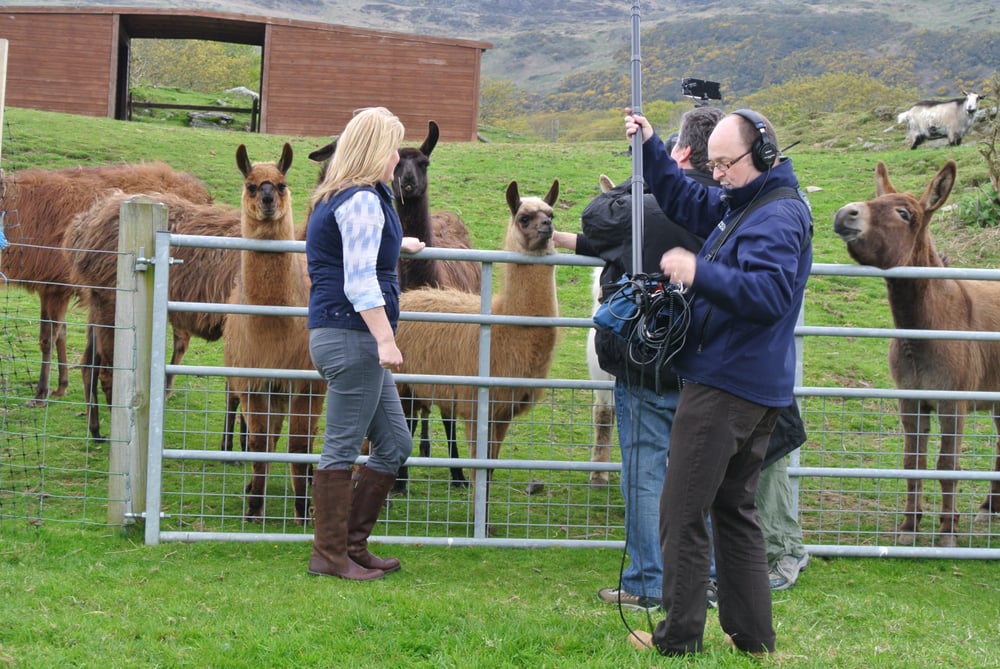TYN Y DREF KENNELS & CATTERY Morfa Bychan, Porthmadog, Gwynedd