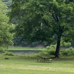 Lander's River Trips - Campground on the river