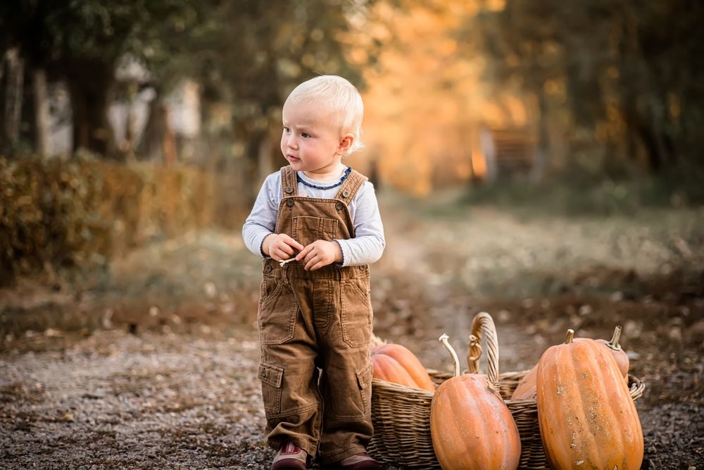 My Dreamy Sleeper - sleep specialist in Arrington, TN