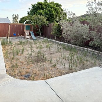 Coronado Best Turf - Artificial Turf Near Me Coronado Best Turf - Artificial Turf Near Me