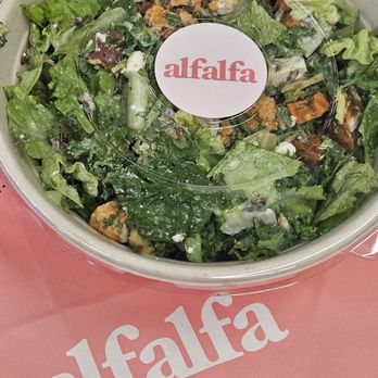 Alfalfa - Buffalo Goddess Salad with Chicken - Donuts Near Me - Santa Monica, California