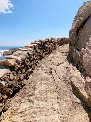 Cliff Walk by null