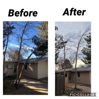 Ohlinger Tree Trimming - Tree Services Near Me Ohlinger Tree Trimming - Tree Services Near Me