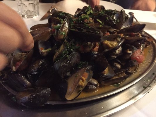 Dalmo Bárbaro by null