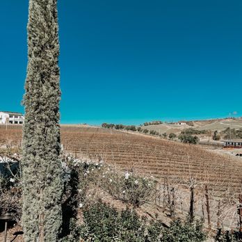 Robert Renzoni Vineyards - Wineries Near Me - Temecula, California