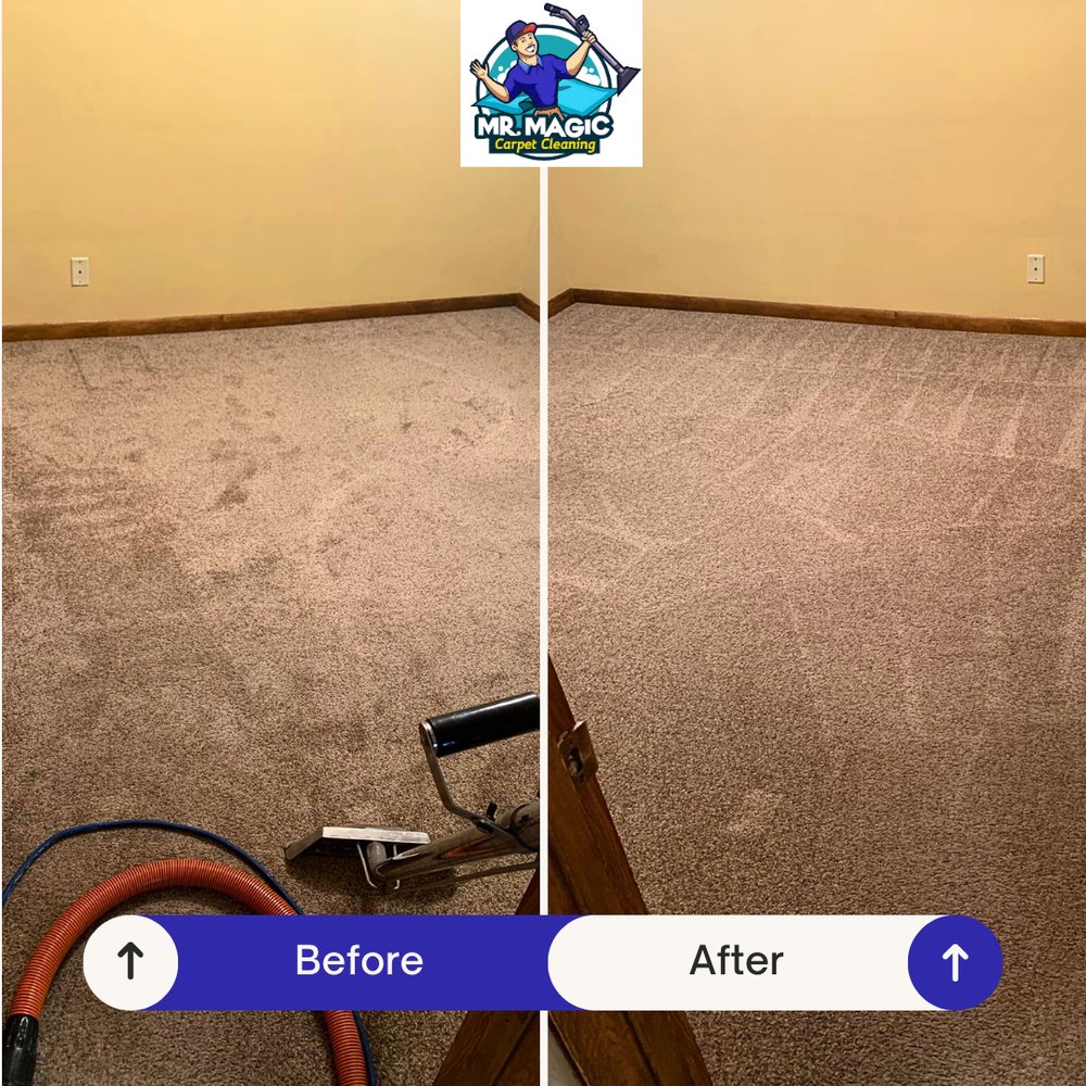 MR MAGIC CARPET CLEANING Request a Quote 76 Photos 843 W Windlake