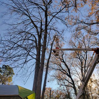 Augusta Southern Tree Removal - A dangerously tall tree right over our house.  Yikes! - Tree Services Near Me - Blythe, Georgia