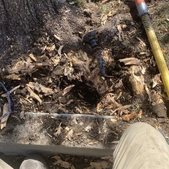 Clean Scape Utah - Broken line in thick tree roots! - Landscaping Near Me Clean Scape Utah - Broken line in thick tree roots! - Landscaping Near Me