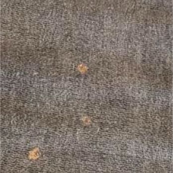 Seaboard Bedding and Furniture - Picture they took claiming I had holes in the couch - Furniture Stores Near Me - Myrtle Beach, South Carolina Seaboard Bedding and Furniture - Picture they took claiming I had holes in the couch - Furniture Stores Near Me - Myrtle Beach, South Carolina