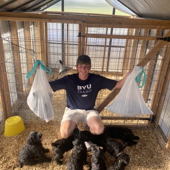 Spencer Scoops Dog Poop - Pet Waste Removal Near Me Spencer Scoops Dog Poop - Pet Waste Removal Near Me