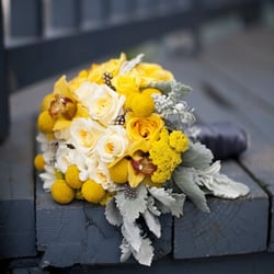 Laura Marchbanks Photography