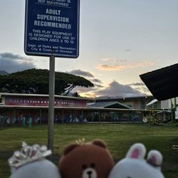 Puohala Neighborhood Park - Warning...