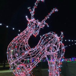 Vegas Festival Of Lights - Winter reindeer