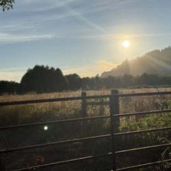 Golden Bear Rv Park - Klamath