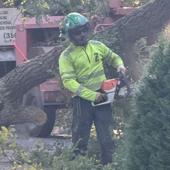 Midwest Tree Surgeons - This is a photo take during a crane assisted tree removal! - Tree Services Near Me - Saint Louis, Missouri Midwest Tree Surgeons - This is a photo take during a crane assisted tree removal! - Tree Services Near Me - Saint Louis, Missouri